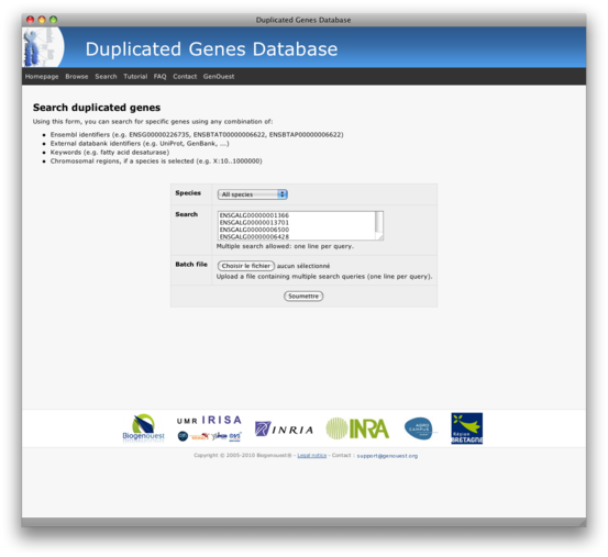 Searching duplicated genes by their ID