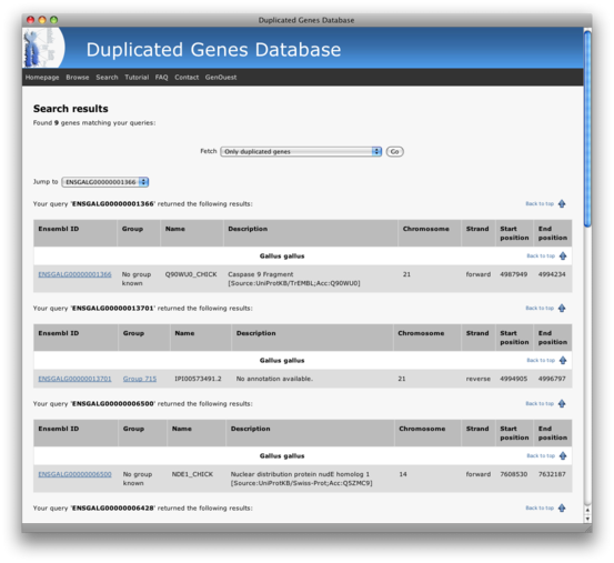 Searching duplicated genes by their ID: results