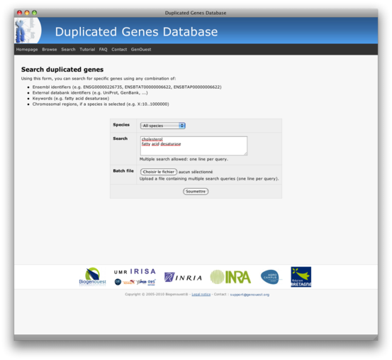 Searching duplicated genes using keywords