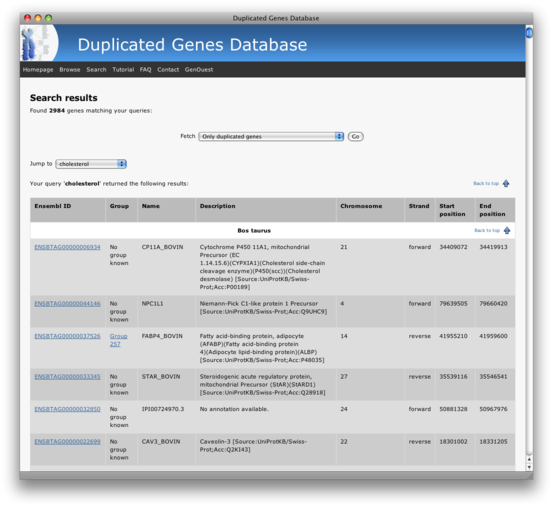 Searching duplicated genes using keywords: results
